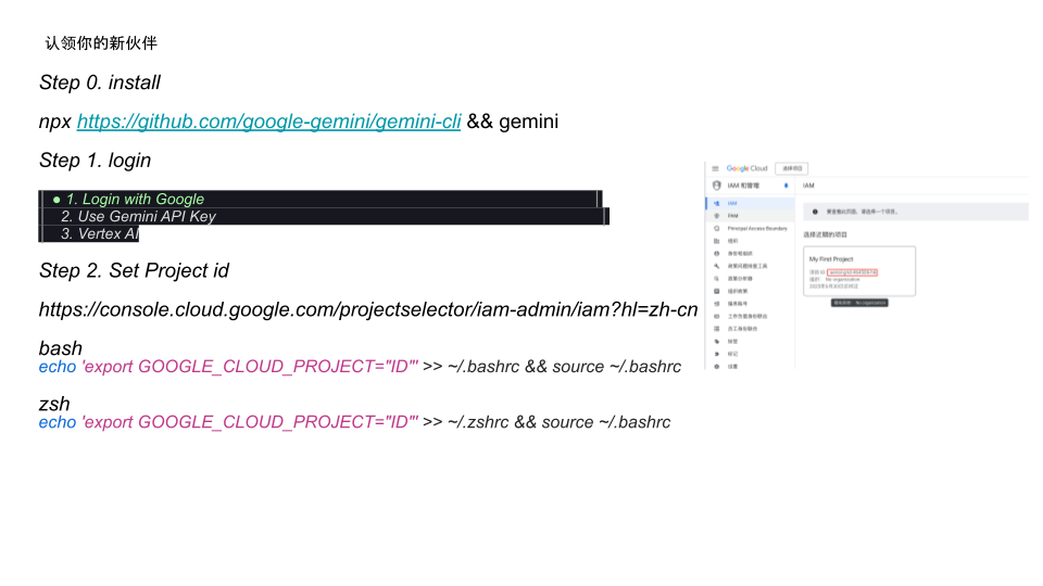 Gemini CLI_Agent Coding实践 (4).png